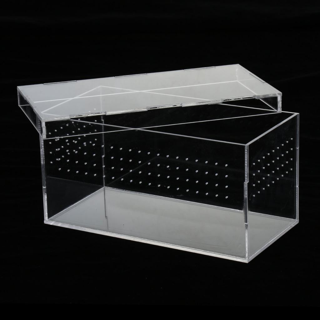 Transparent Acrylic Reptile Box Terrarium Pet Insect Breeding Box