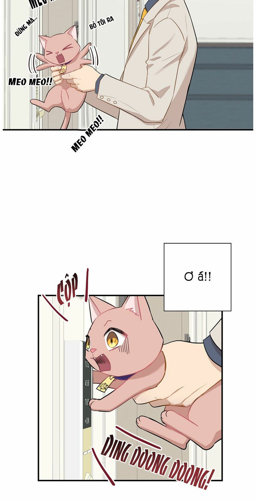 cuộc sống kỳ thú chapter 21 27