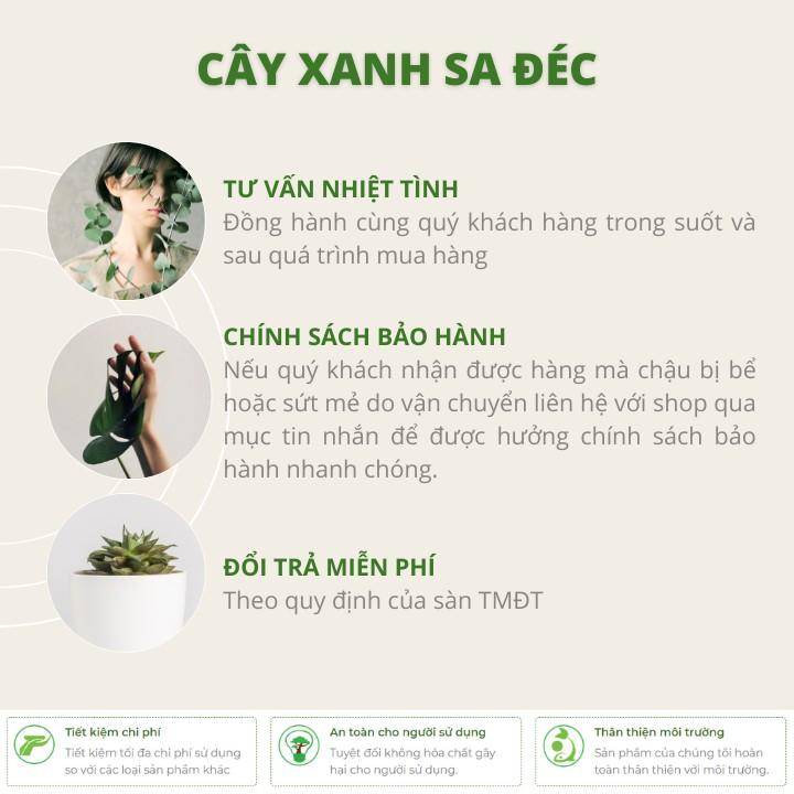 Bộ chậu men Hoa Đào Đỏ CK32 trồng cây cảnh trang trí nhà cửa, ban công, văn phòng, phòng ngủ, góc học tập