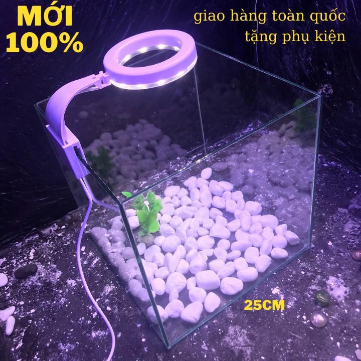 Bể cá mini để bàn CUBIC 25 COMBO HỒ LỌC ĐÈN Tặng phụ kiện trang trí