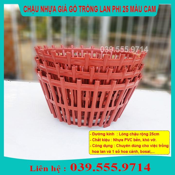 Combo 10 Chậu Nhựa Màu Cam Trồng Lan Phi 25 - Chậu Trồng Cây Có Lan Phụ