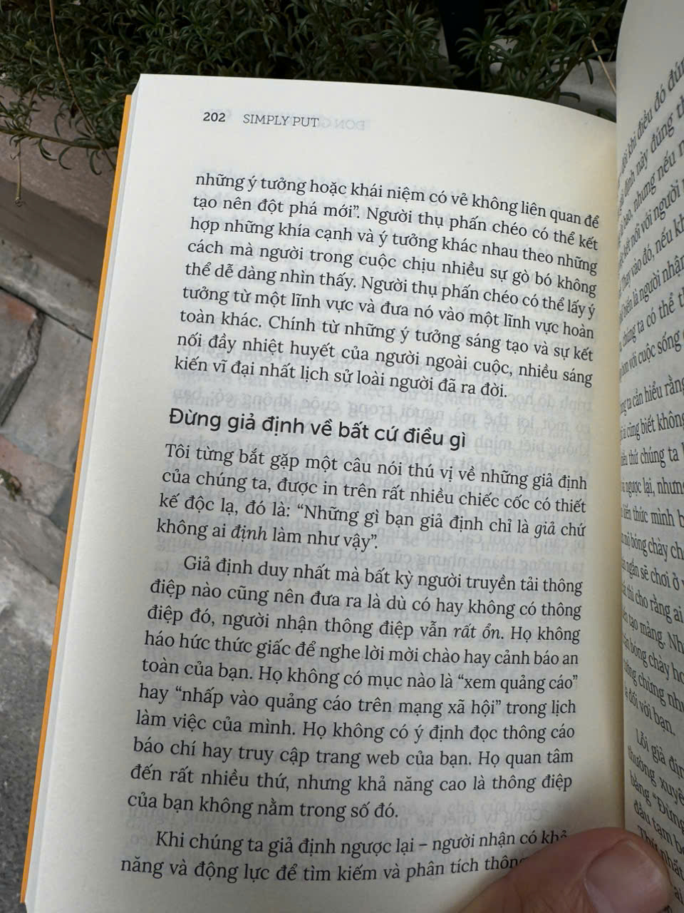ĐƠN GIẢN MÀ NÓI – Thuật thiết kế và truyền tải thông điệp đúng trọng tâm - Ben Guttmann - Trương Hải Đăng dịch - First News