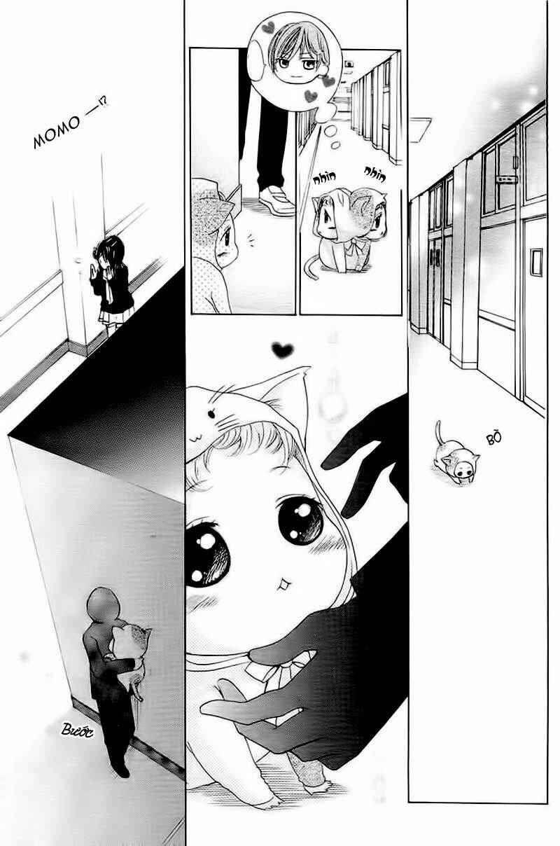 momo lover chapter 2 20