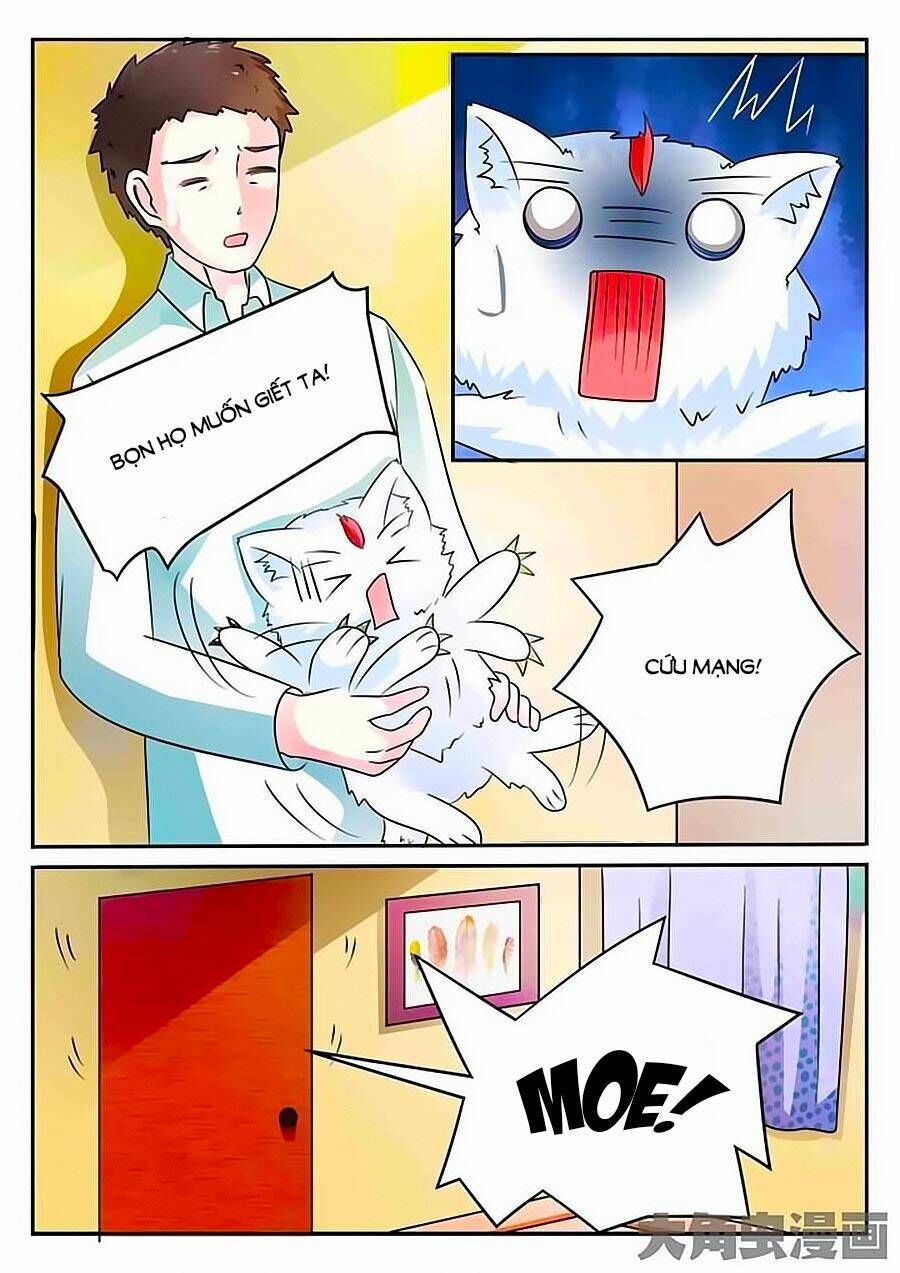 mau lấy con mèo đó ra chapter 3 11