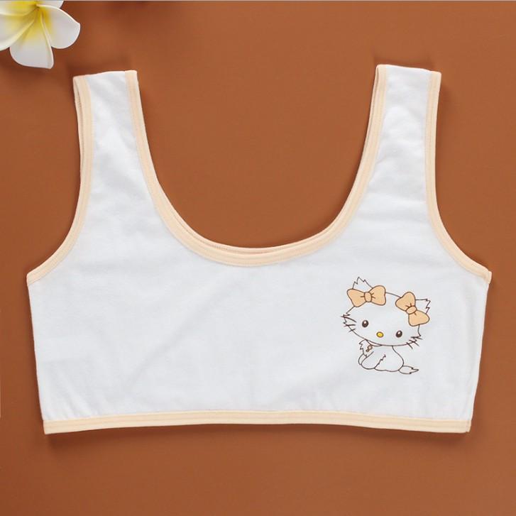 Bra / Áo Lá Học Sinh Một Lớp Mèo Dễ Thương Xuất Hàn Hàng Loại Đẹp