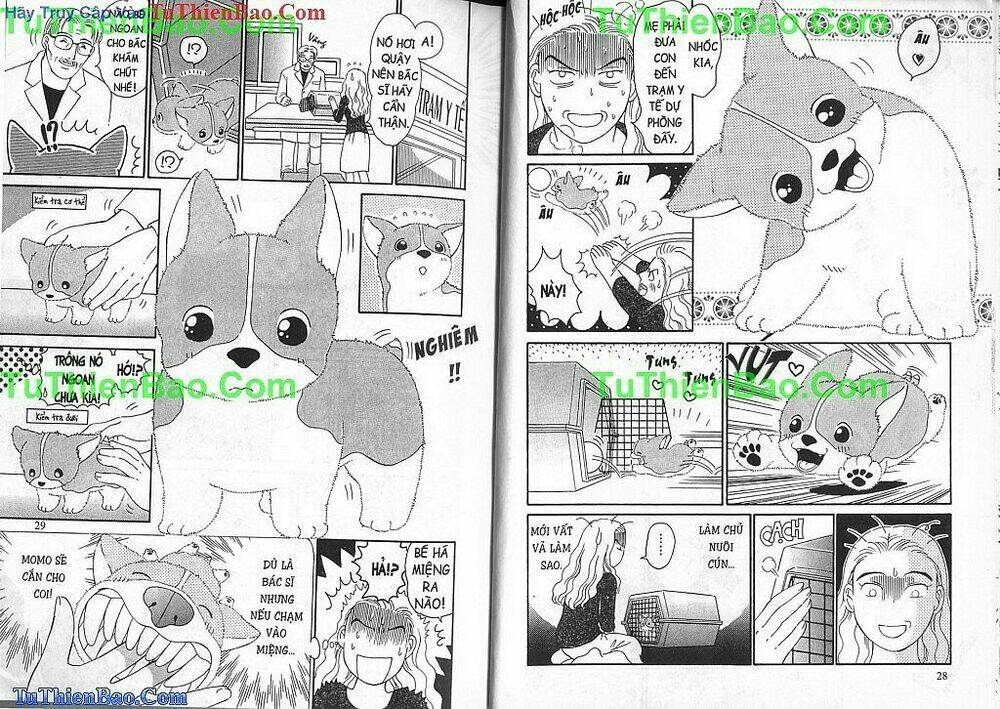 chó con mo mo chapter 2 15