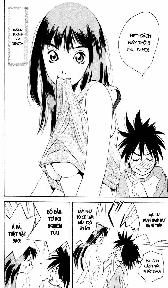 parallel chapter 11 17