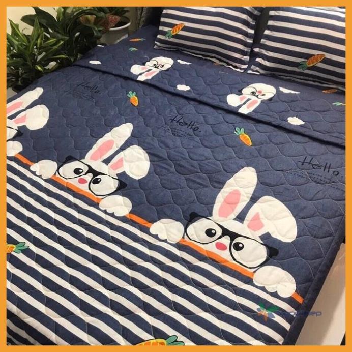 Chăn Hè Thu Trần Bông Poly Cotton mẫu Thỏ trắng