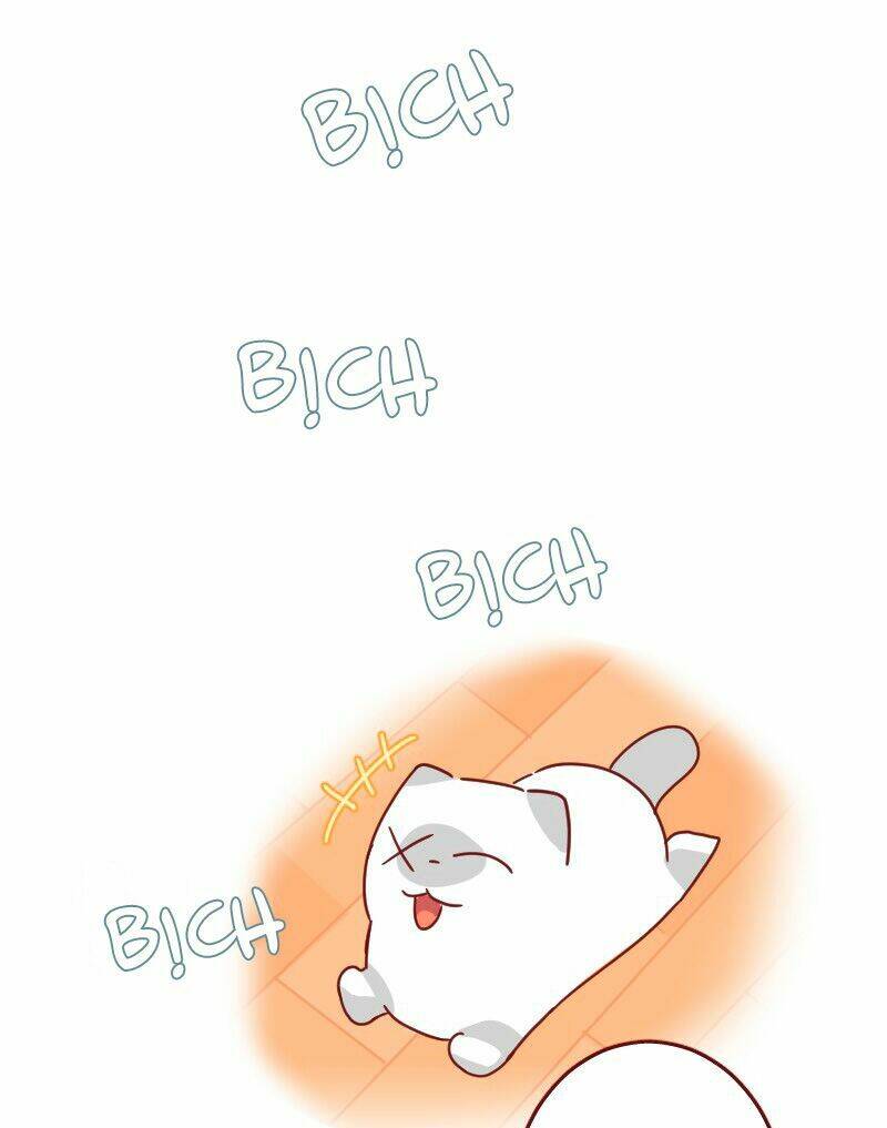 saphie: chú mèo một mắt chapter 22 5