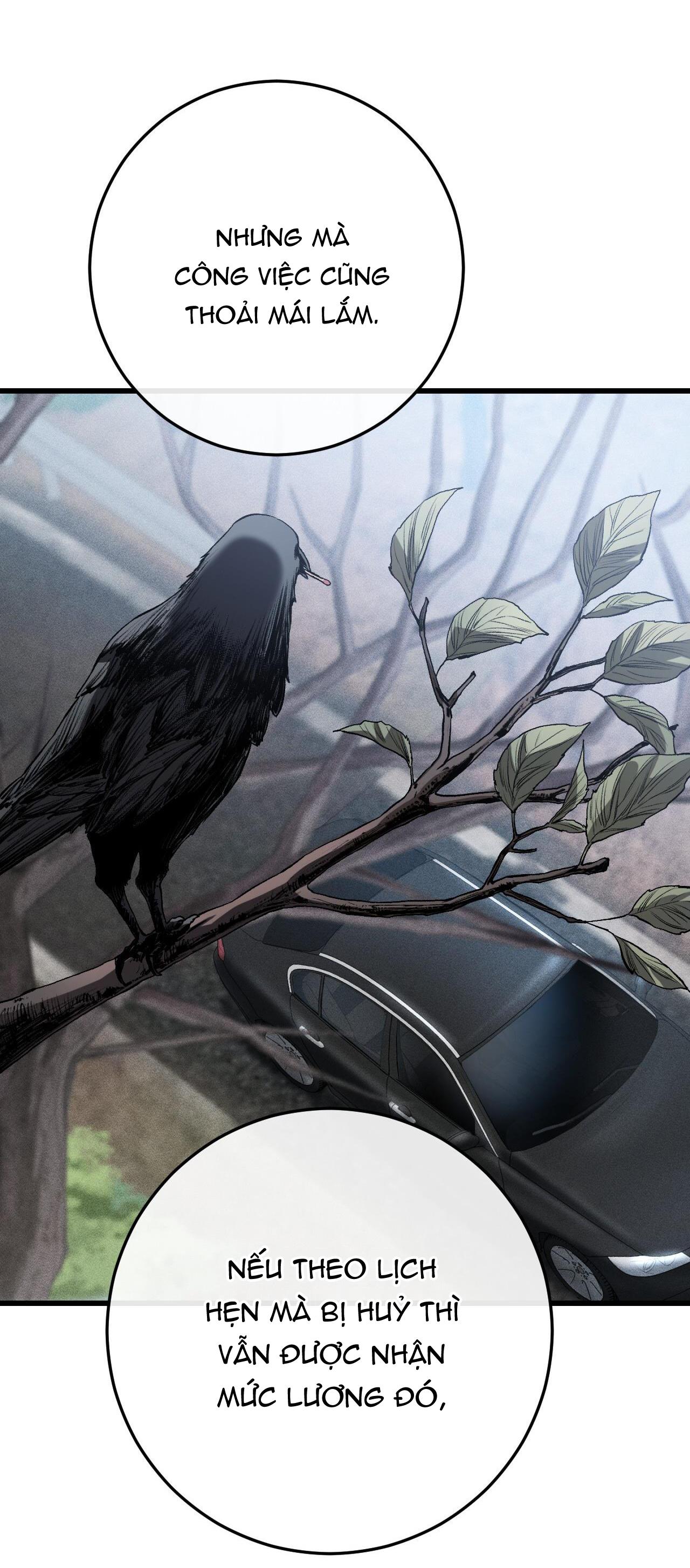 xx đê tiện chapter 1 42