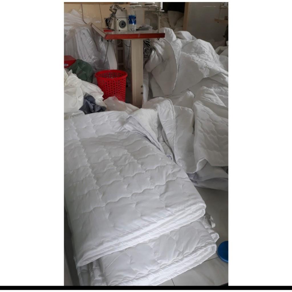 Ruột Chăn Cotton 1,6m,1,8m, 2,2mx2m