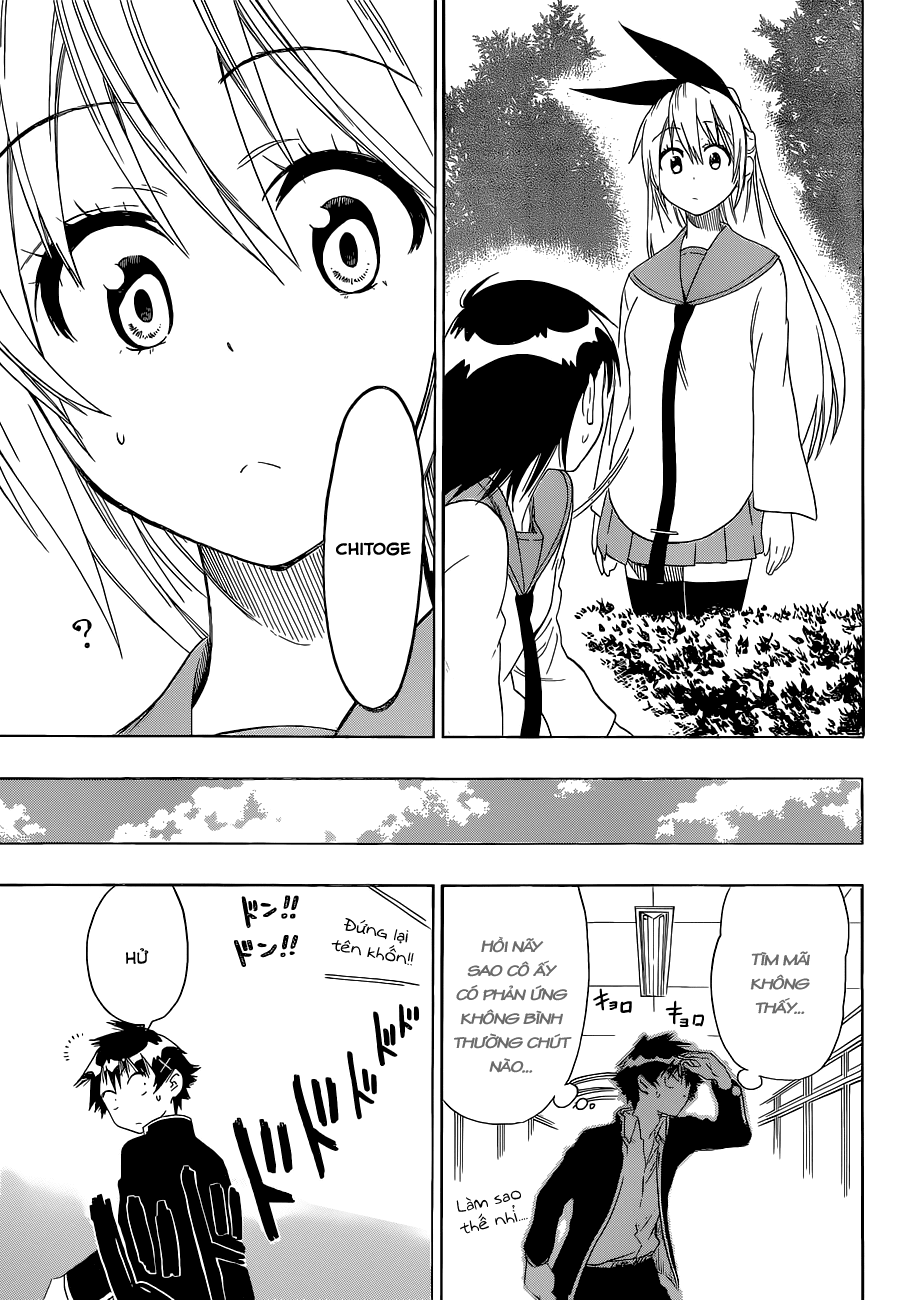 nisekoi - tình yêu giả tạo chapter 68 4