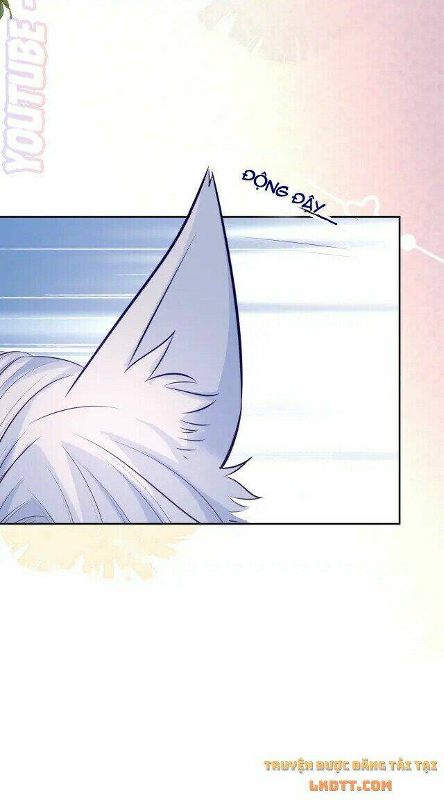 hắc hóa nam chính trực tuyến nuôi thỏ chapter 45 28