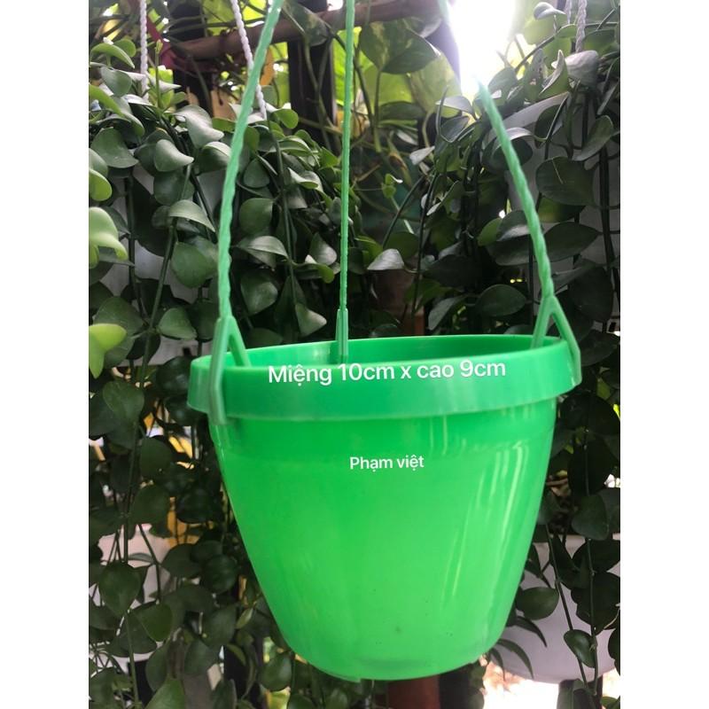 Chậu nhựa mini 10 chậu kèm dây treo xanh lá