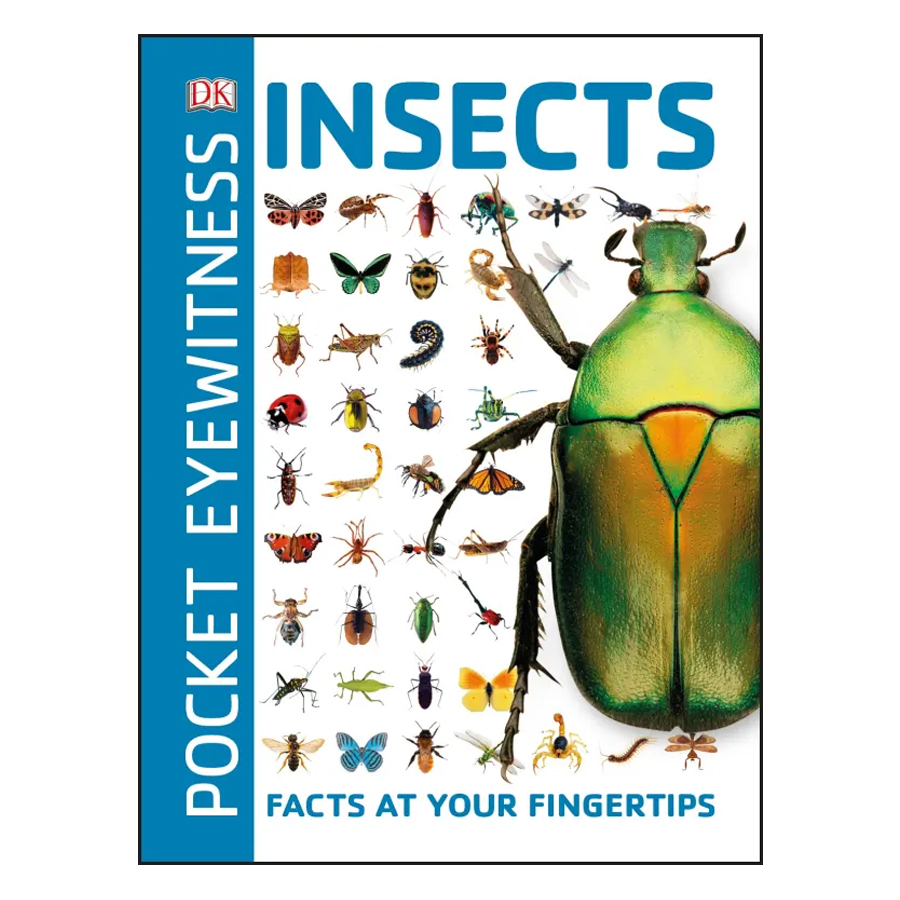 Pocket Eyewitness Insects