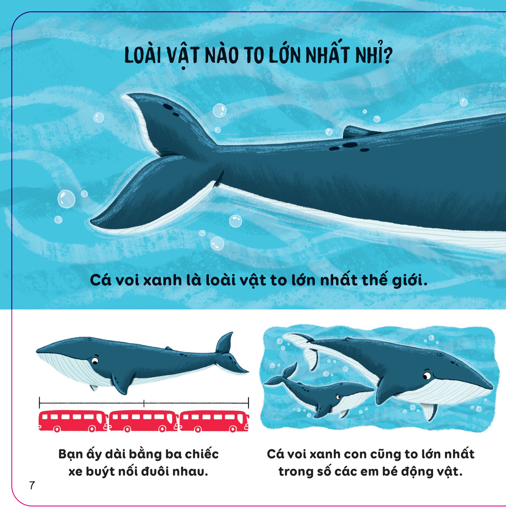 Lift-The-Flap - Thế Giới Động Vật - Bìa Cứng