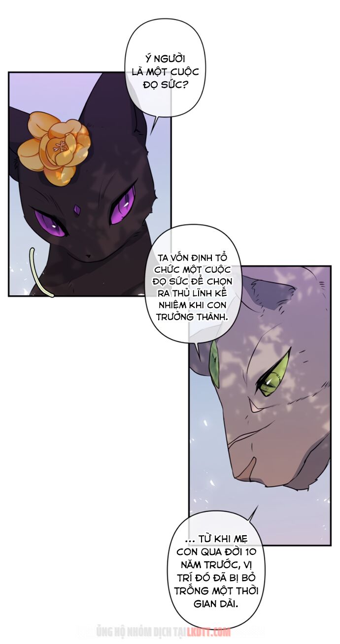 tôi đang nuôi dưỡng một con quái thú chapter 17 15