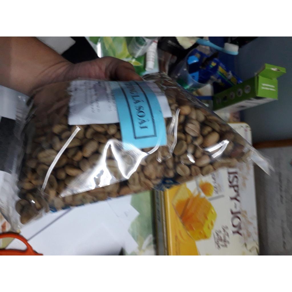 500 gram Hạt giống Cà Phê VỐI CAO SẢN Lá Xoài  - HẠT TUYỂN CHỌN TỪ CÂY MẸ. KÈM HƯỚNG DẪN ƯƠM] *