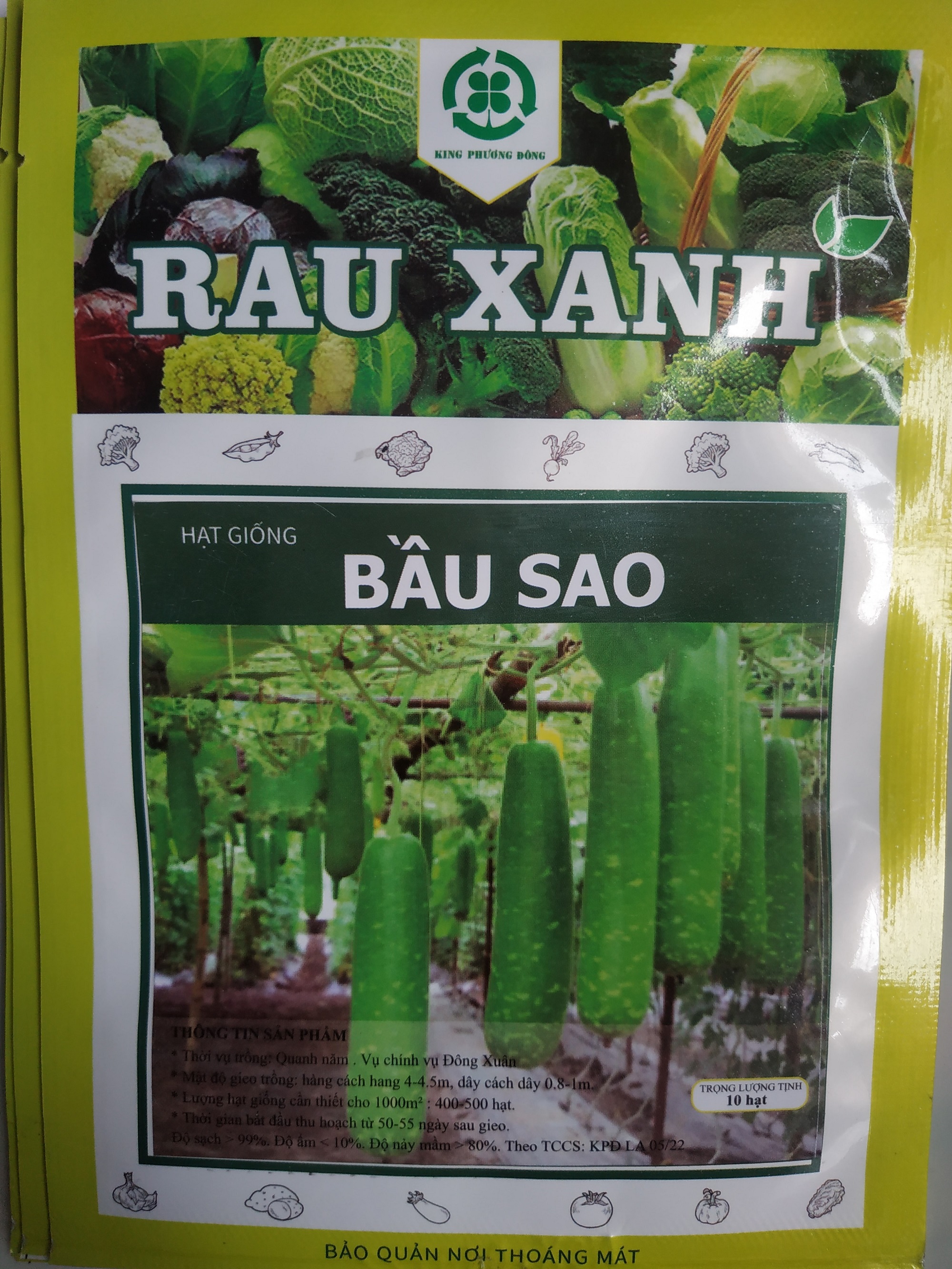 Hạt giống BẦU SAO - gói 10 hạt