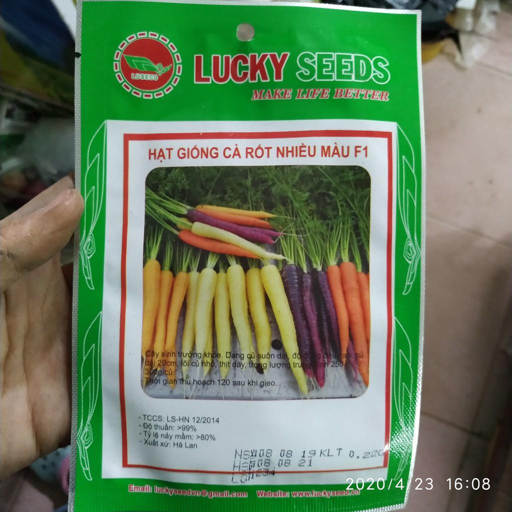 Hạt giống cà rốt nhiều màu