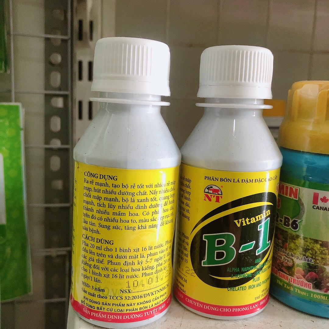 Phân Bón Lá Vitamin B1 HVP - Kích Ra Hoa B1 100ml