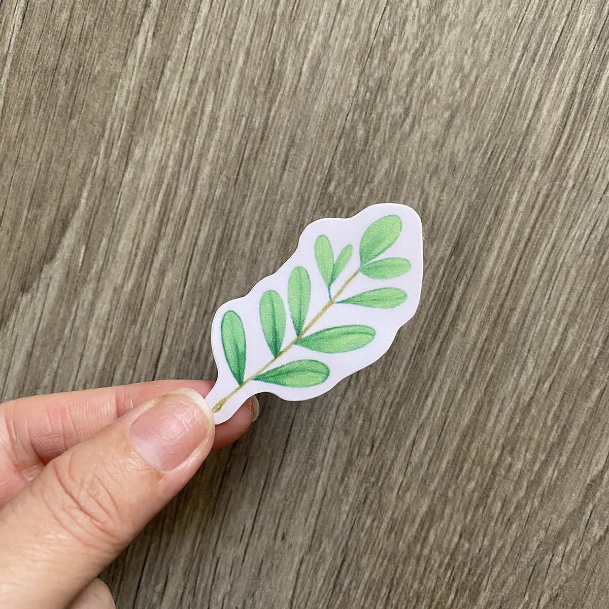 Sticker Mint Xanh Bạc Hà - Dán Trang Trí - Chất Liệu PVC Cán Màng Chất Lượng Cao Chống Nước, Chống Nắng, Không Bong Tróc Phai Màu