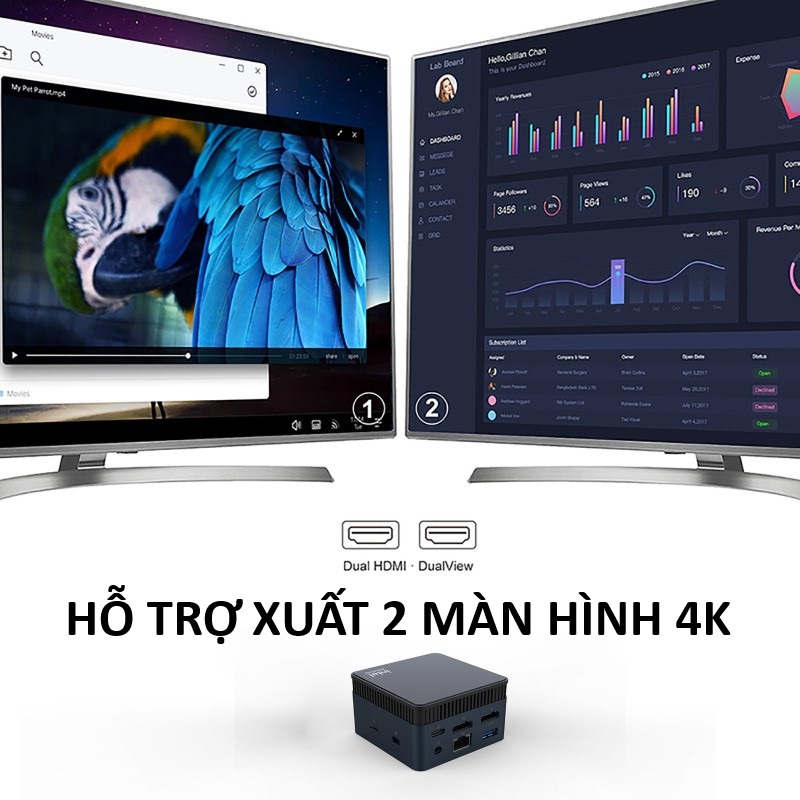 Máy Tính Siêu Nhỏ Ultra Mini ZX01 Plus - Intel thế hệ 12 Alder Lake N100 - Hỗ Trợ Xuất Hình 4K 60hz