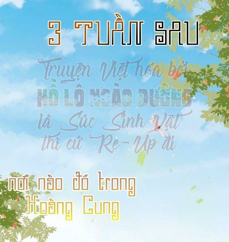 quận chúa vững vàng, thiết lập nhân vật không thể vỡ chapter 32 24