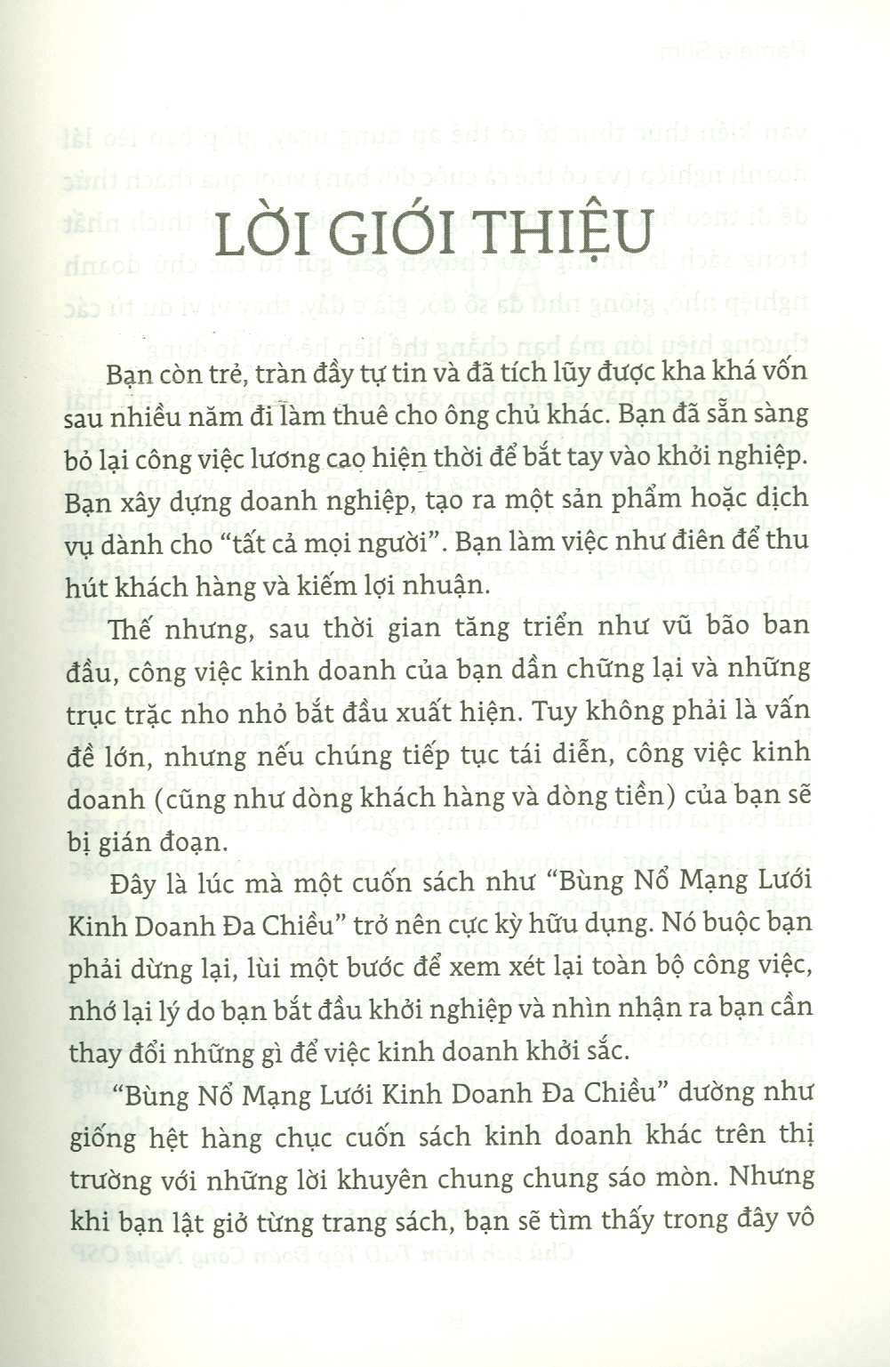 BÙNG NỔ MẠNG LƯỚI KINH DOANH ĐA CHIỀU - Pamela Slim – Thùy Anh dịch – Bách Việt  –NXB Lao Động