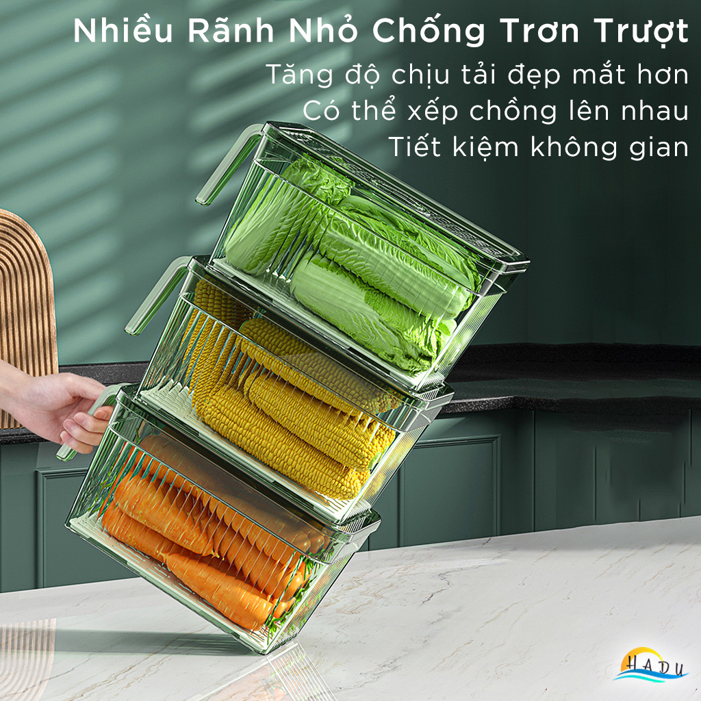 Hộp Đựng Trái Cây Hoa Quả Trong Tủ Lạnh Có Nắp Nhựa PET Trong Suốt Cao Cấp Đạt Chất Lượng Đức CCKO