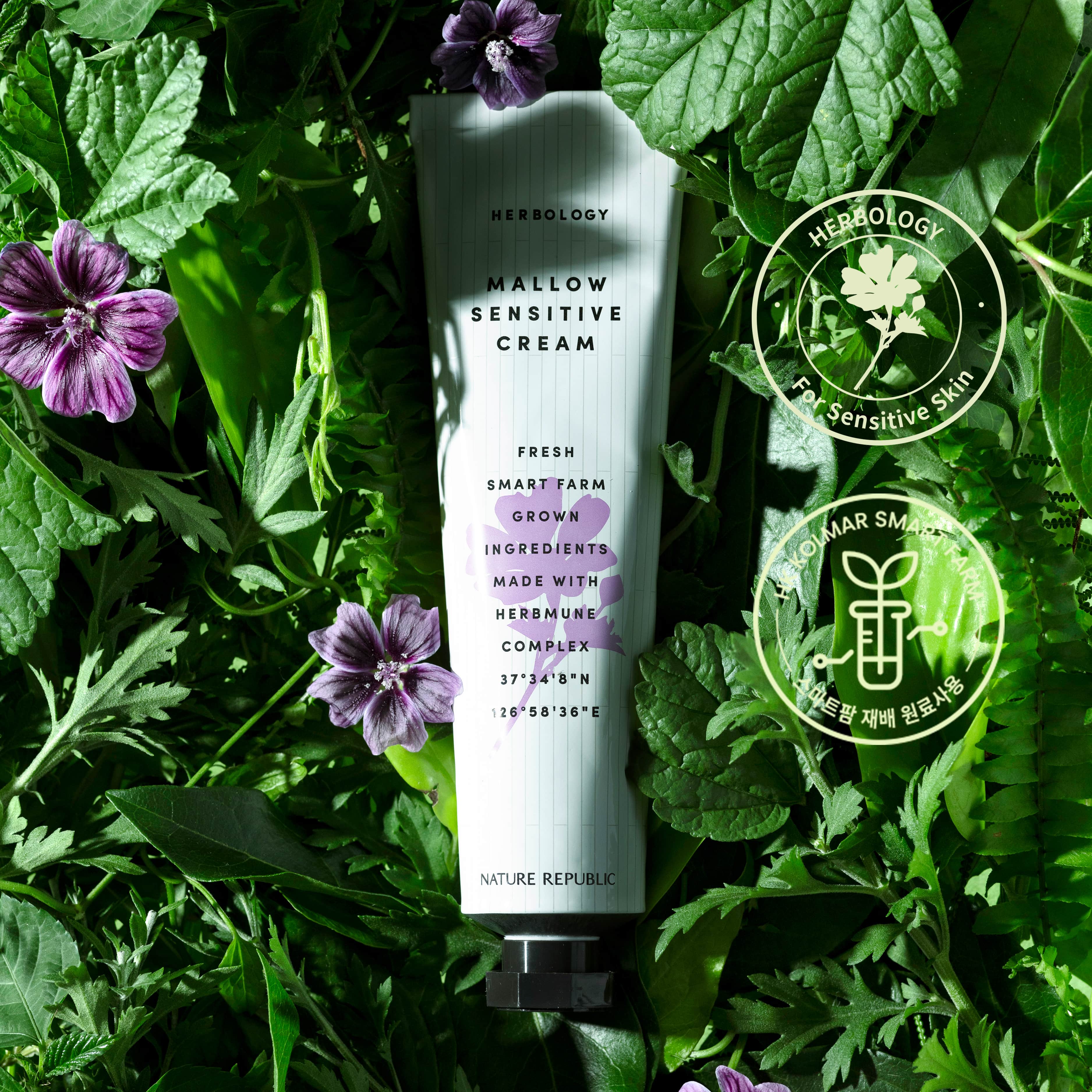Kem dưỡng Nature Republic Herbology Mallow Sensitive Cream 70ml