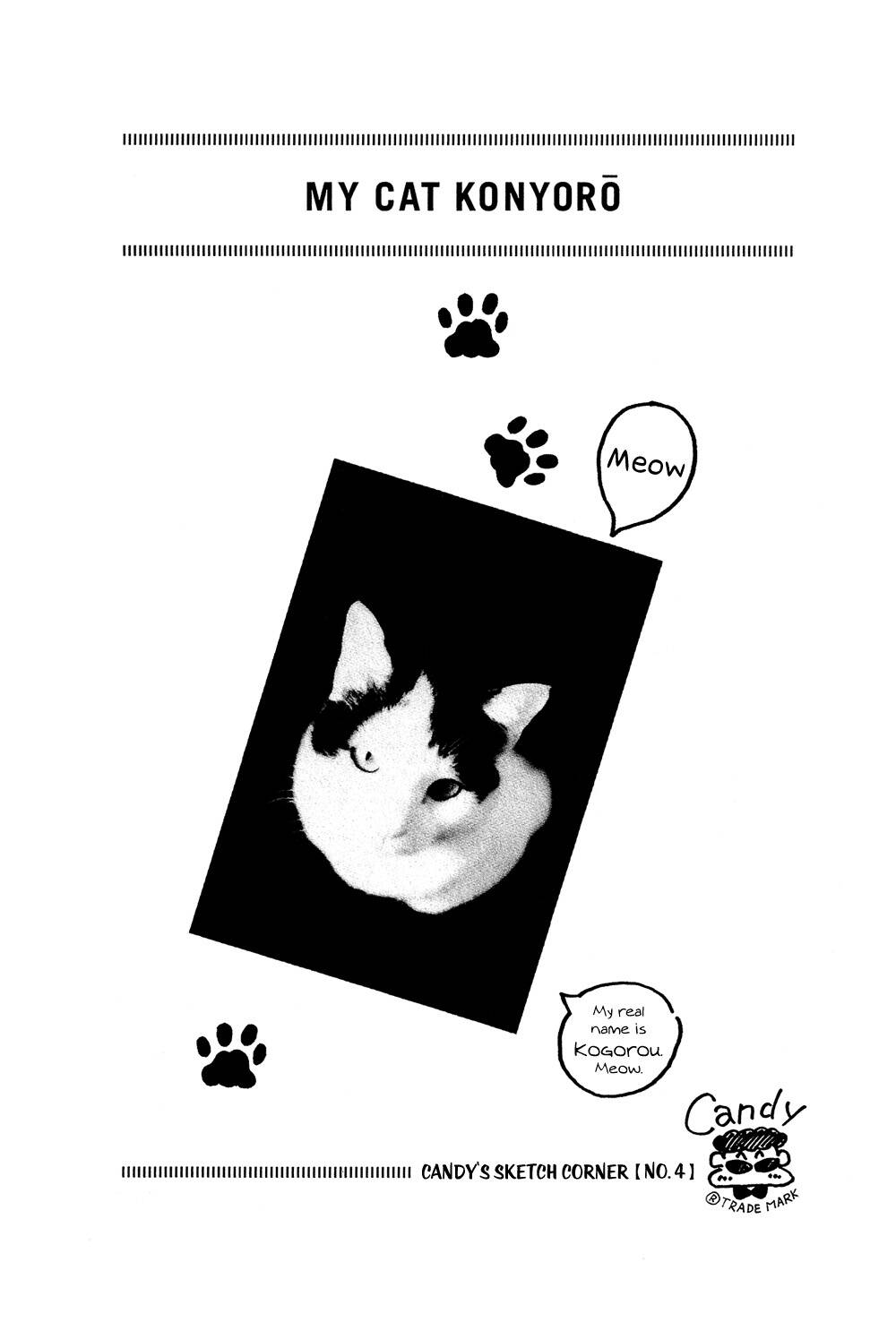 stop!! hibari-kun! chapter 10 17