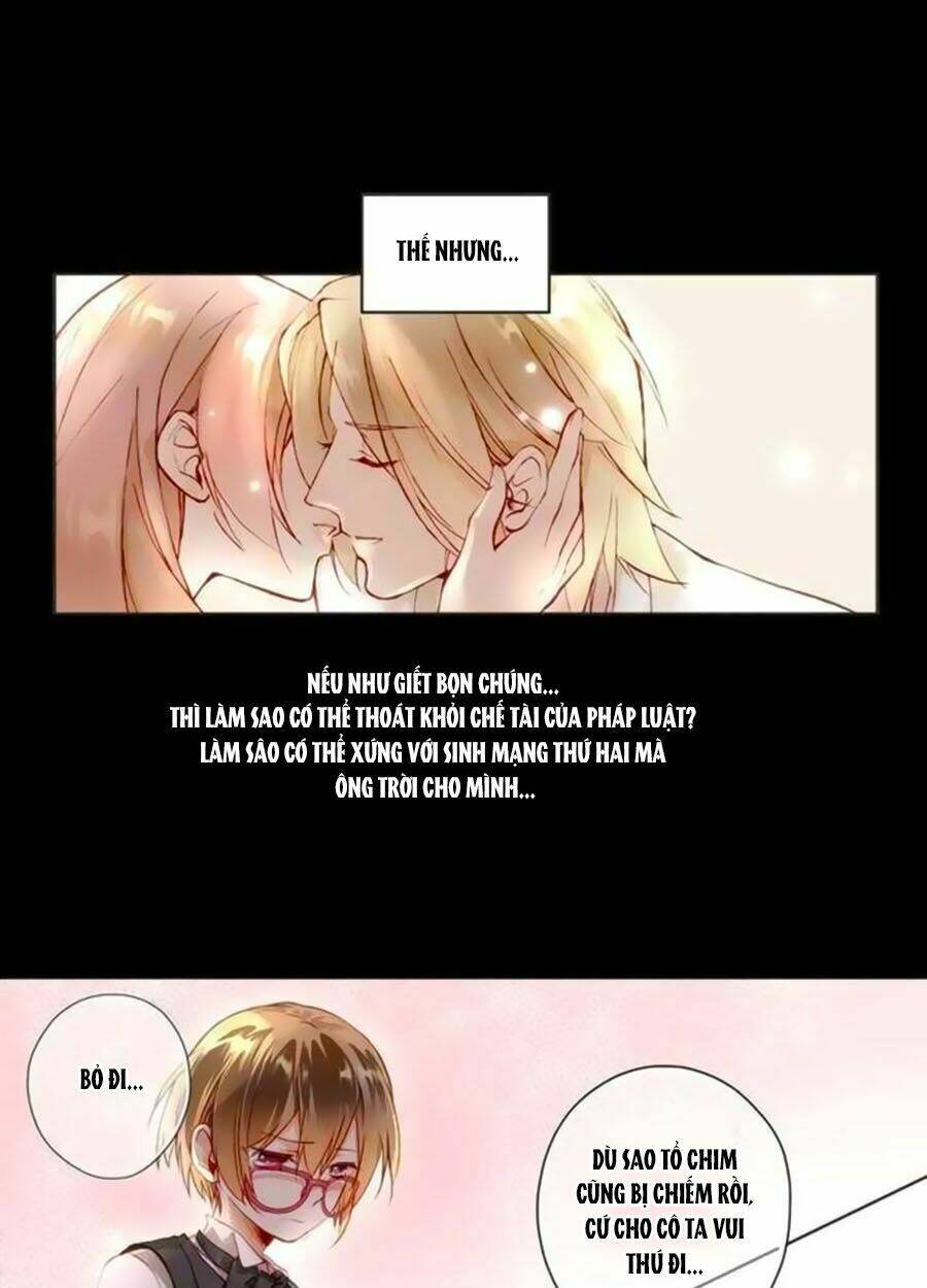 trọng sinh chi tinh quang thôi xán chapter 3 13