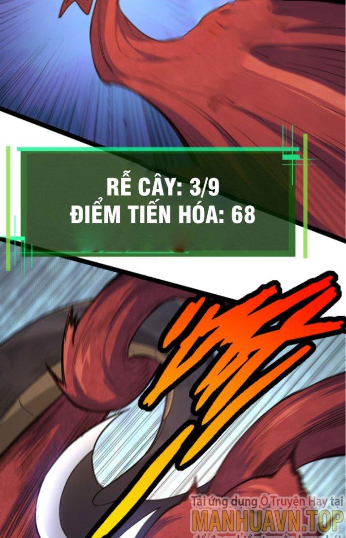 từ cây cổ thụ bắt đầu tiến hóa chapter 5 44