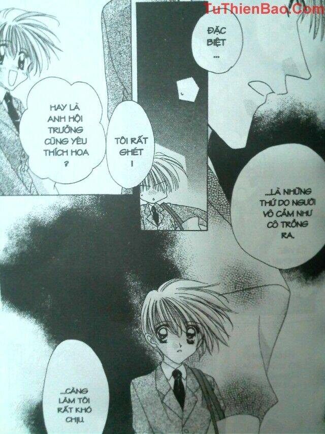 nguyện ước dưới ánh sao chapter 7 41