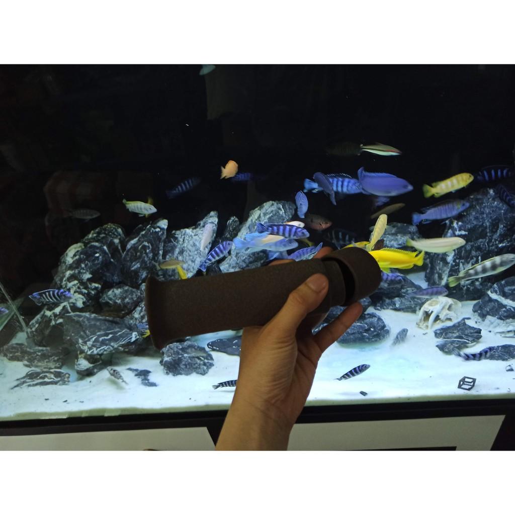 HANG PLECO RÚT NẮP - Hang cho cá Pleoc sinh sản - TRANG TRÍ BỂ CÁ