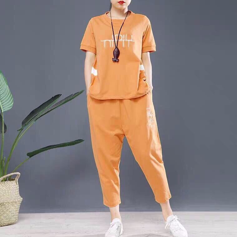 Set Bộ Cotton Bảo Kim Thời Trang Thu Đông Trẻ Trung Mới
