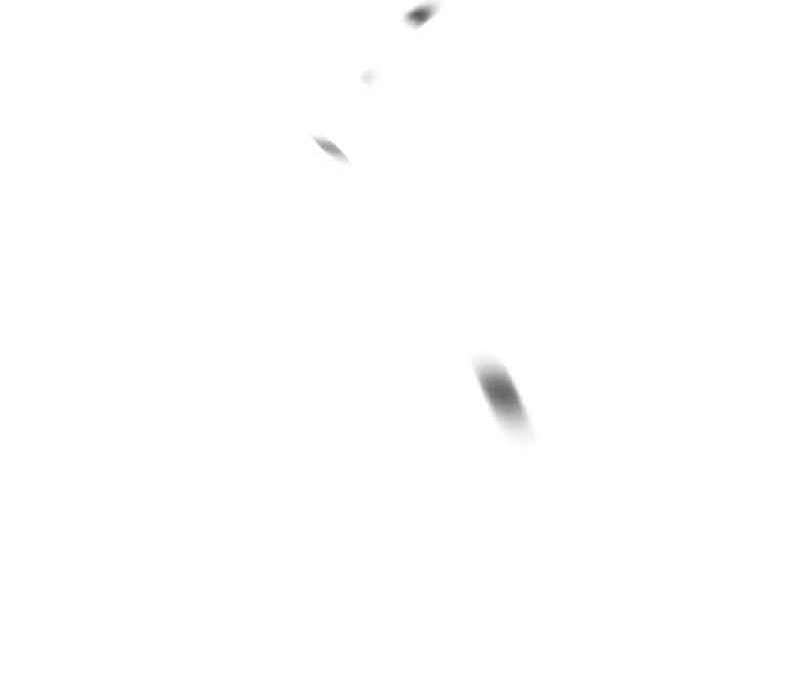 image 459