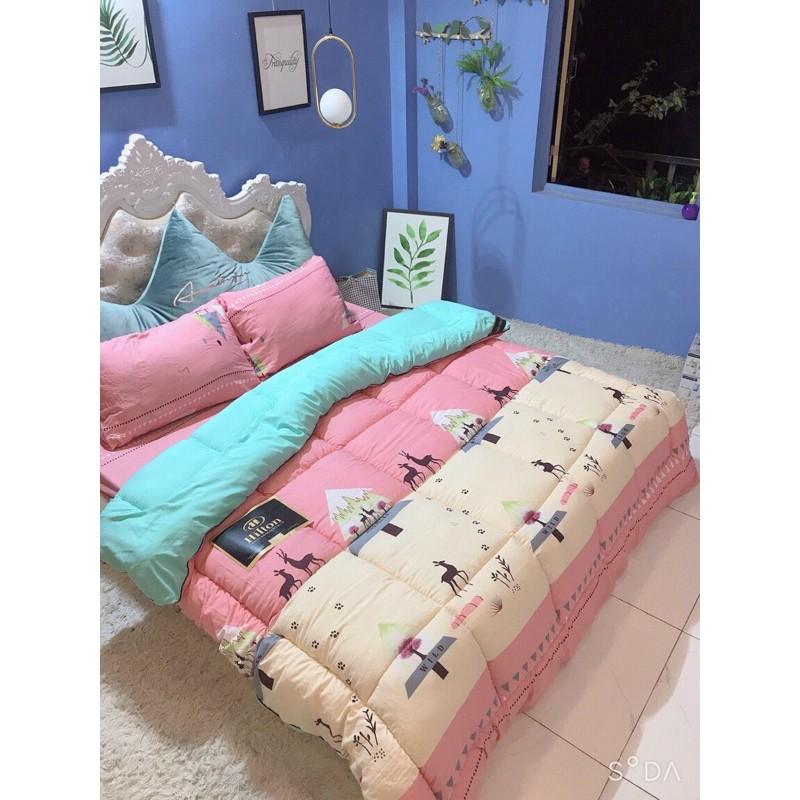 Bộ chăn ga gối phao đũi 4 món 1m6x2m tặng kèm vỏ gối ôm