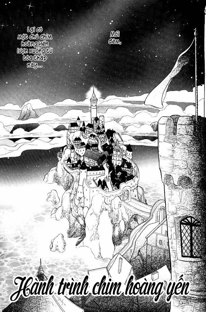 alone in my king's harem chapter 4 4