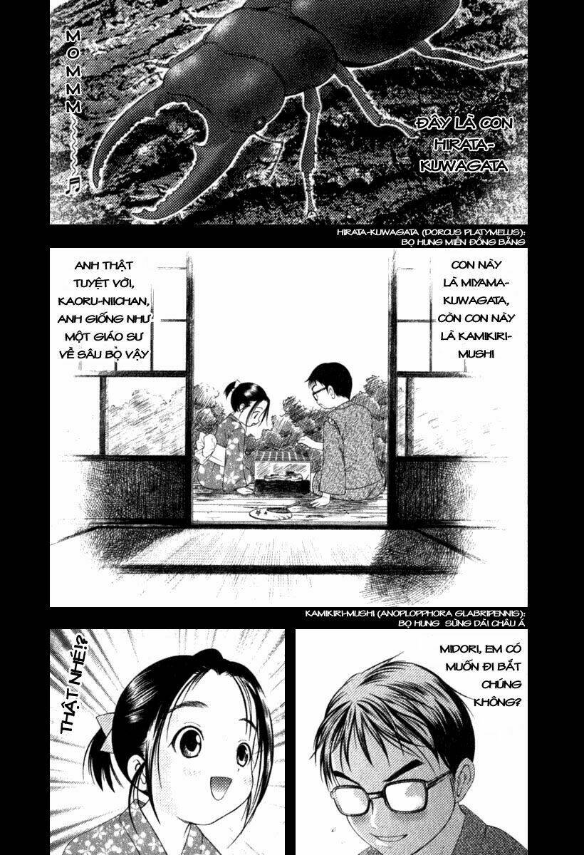 happy world! chapter 28 17