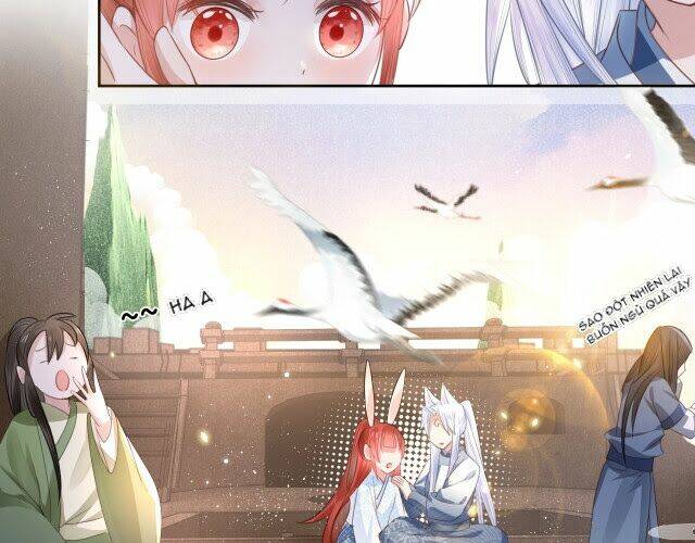 hắc hóa nam chính trực tuyến nuôi thỏ chapter 11 26