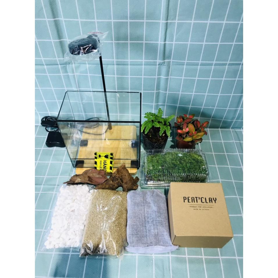 COMBO TỰ SET TERRARIUM-VƯỜN NHIỆT ĐỚI