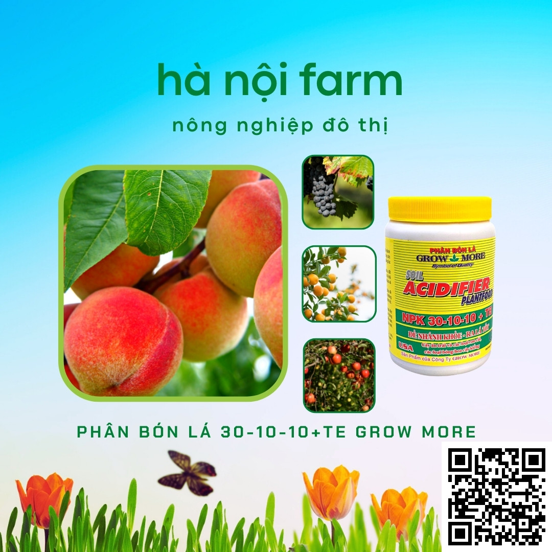 Phân bón lá 30-10-10 Grow More - Hũ 100g