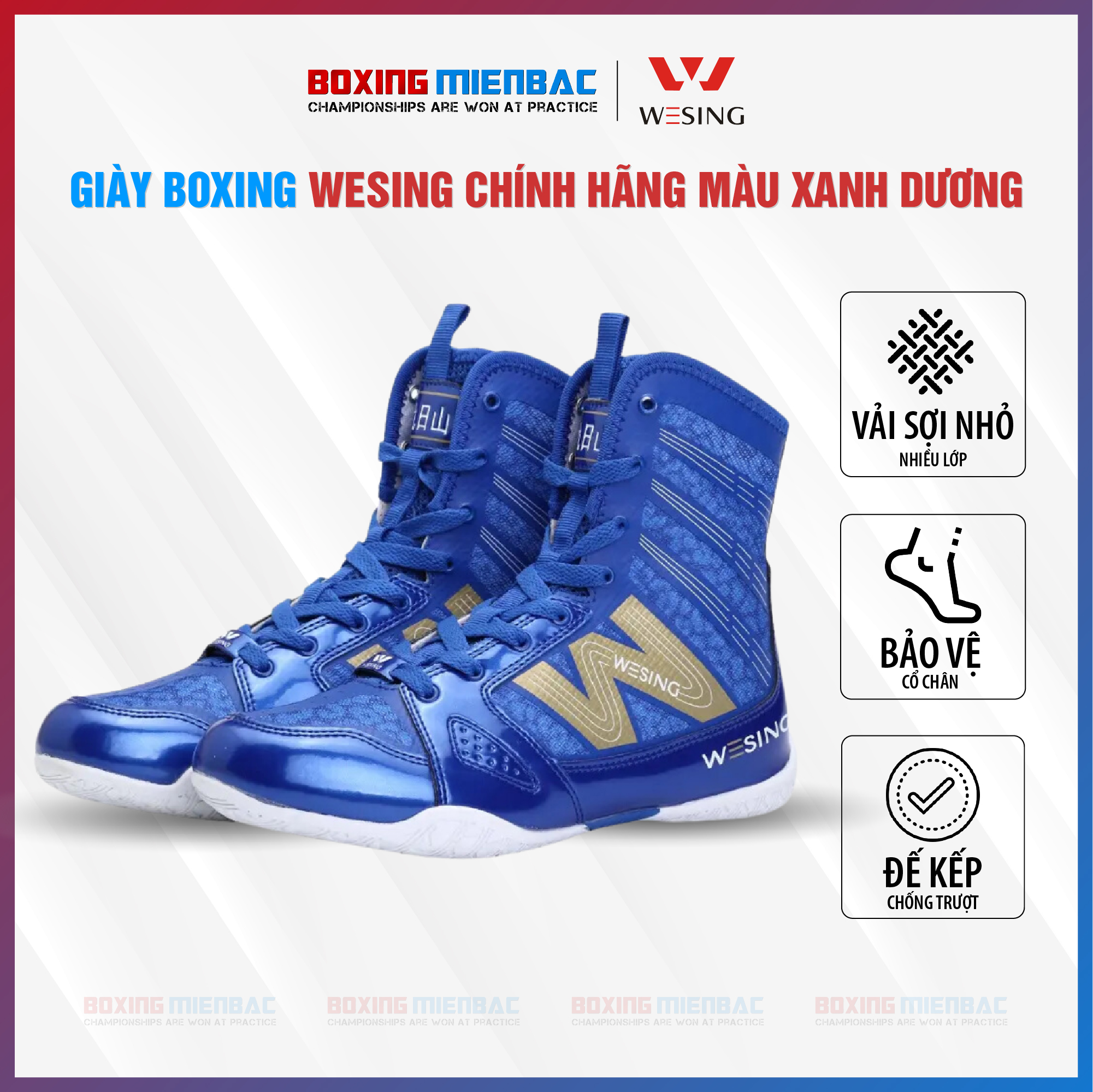 Giày Boxing Wesing - Boxing Shoes Wesing/ Màu Xanh