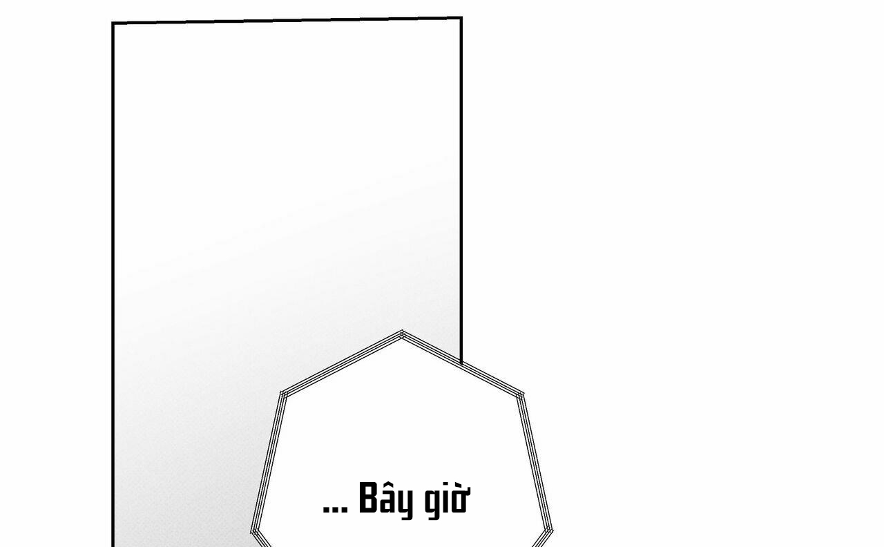 chàng giao pizza và gold palace chapter 25 19