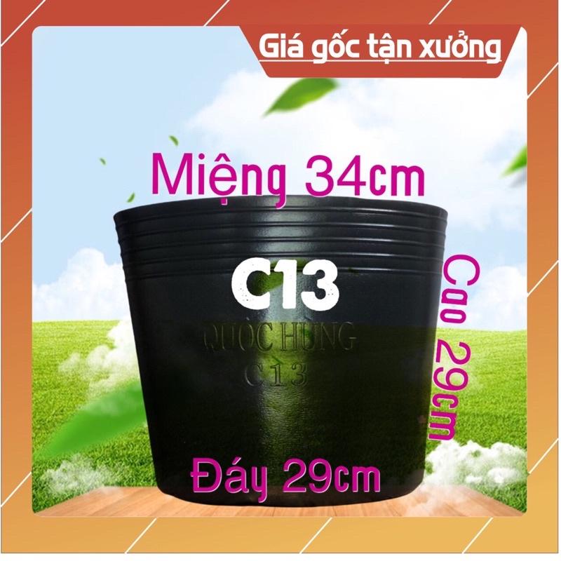 Combo 50 chậu nhựa C13 trồng cây 