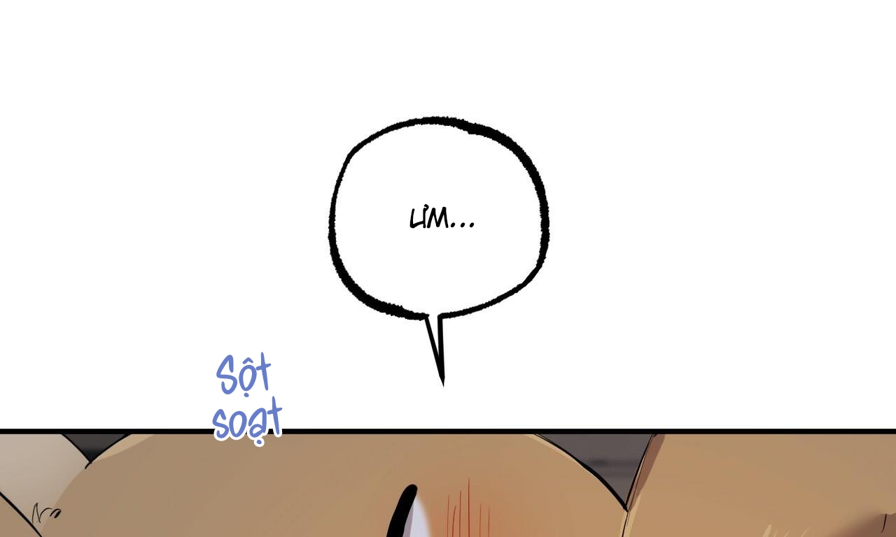 những chú thỏ của hapypy chapter 51 10