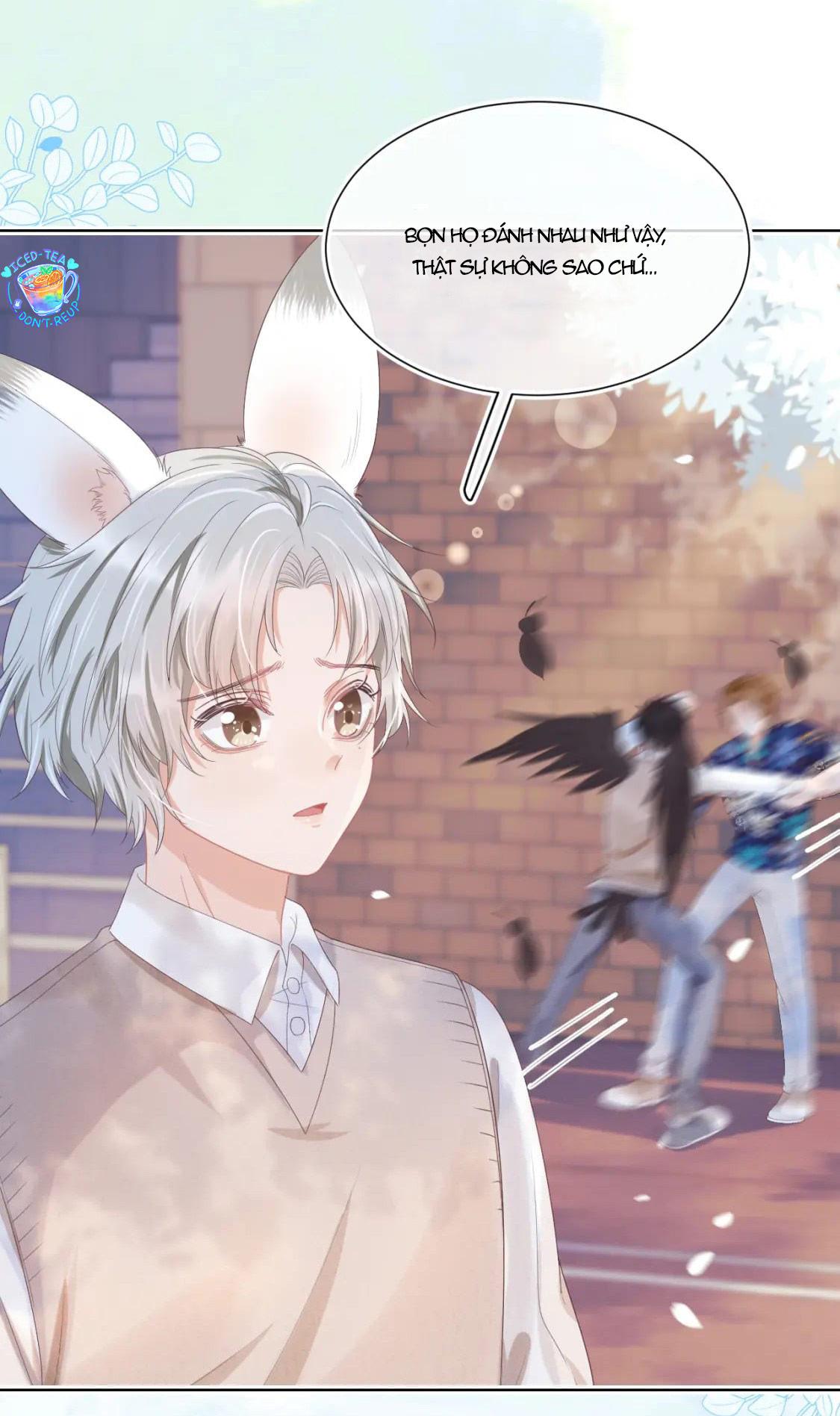 [ss2] một ngụm ăn cả thỏ con chapter 15 16