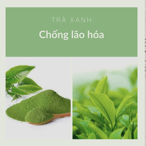 Xà phòng mướp đắng trà xanh Bonan hữu cơ 100gr